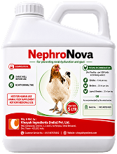 NEPHRONOVA