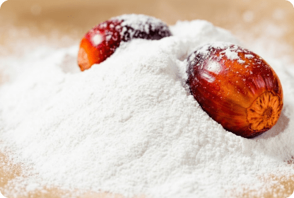 PALM FAT POWDER