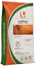 TENDERO