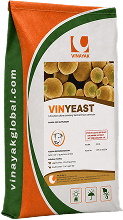 VINYEAST