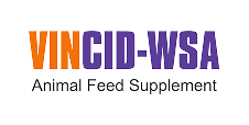 VINCID WSA