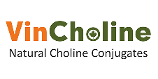 VINCHOLINE