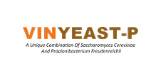 VINYEAST-P