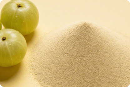 ECOFLAV AMLA POWDER