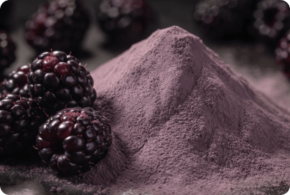 ECOFLAV BLACKBERRY POWDER