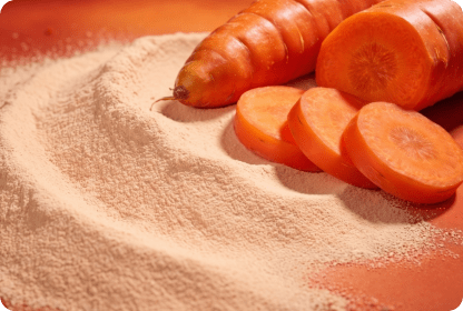 ECOFLAV CARROT POWDER