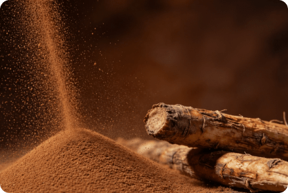 ECOFLAV CHICORY POWDER