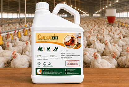 CURCUVIN