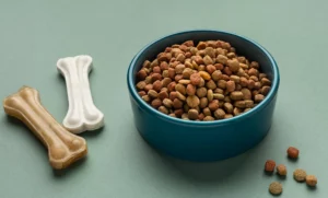 Pet Food