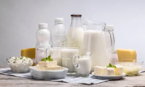 Cheese and Dairy Products