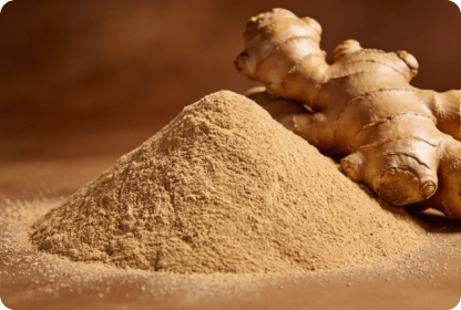 ECOFLAV GINGER POWDER