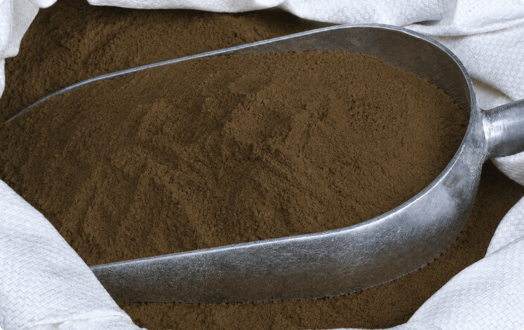 VINYEAST