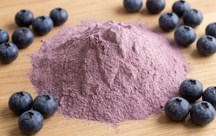 ECOFLAV BLUEBERRY POWDER