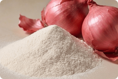 ECOFLAV ONION POWDER