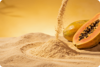 ECOFLAV PAPAYA POWDER