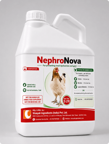 NEPHRONOVA