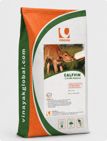 CALFVIN