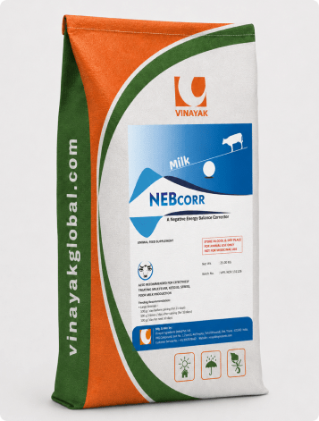 NEBCORR