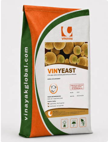 VINYEAST