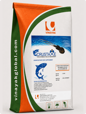 CRUSTAXE