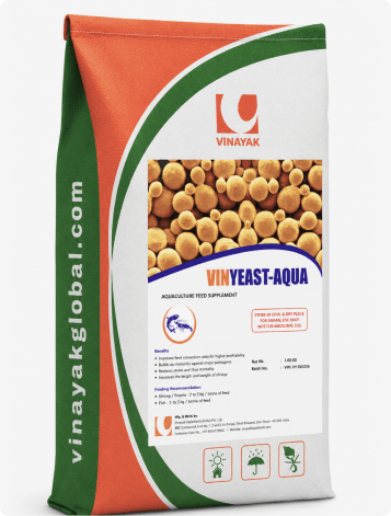 VINYEAST AQUA