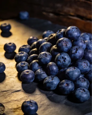 ECOFLAV BLUEBERRY POWDER