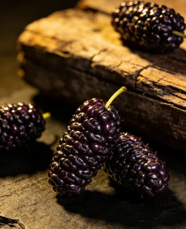 ECOFLAV MULBERRY POWDER