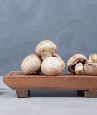 ECOFLAV MUSHROOM POWDER