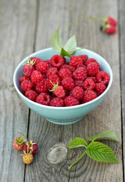 ECOFLAV RASPBERRY POWDER