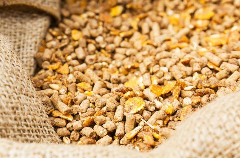 Mold inhibition in stored feed systems